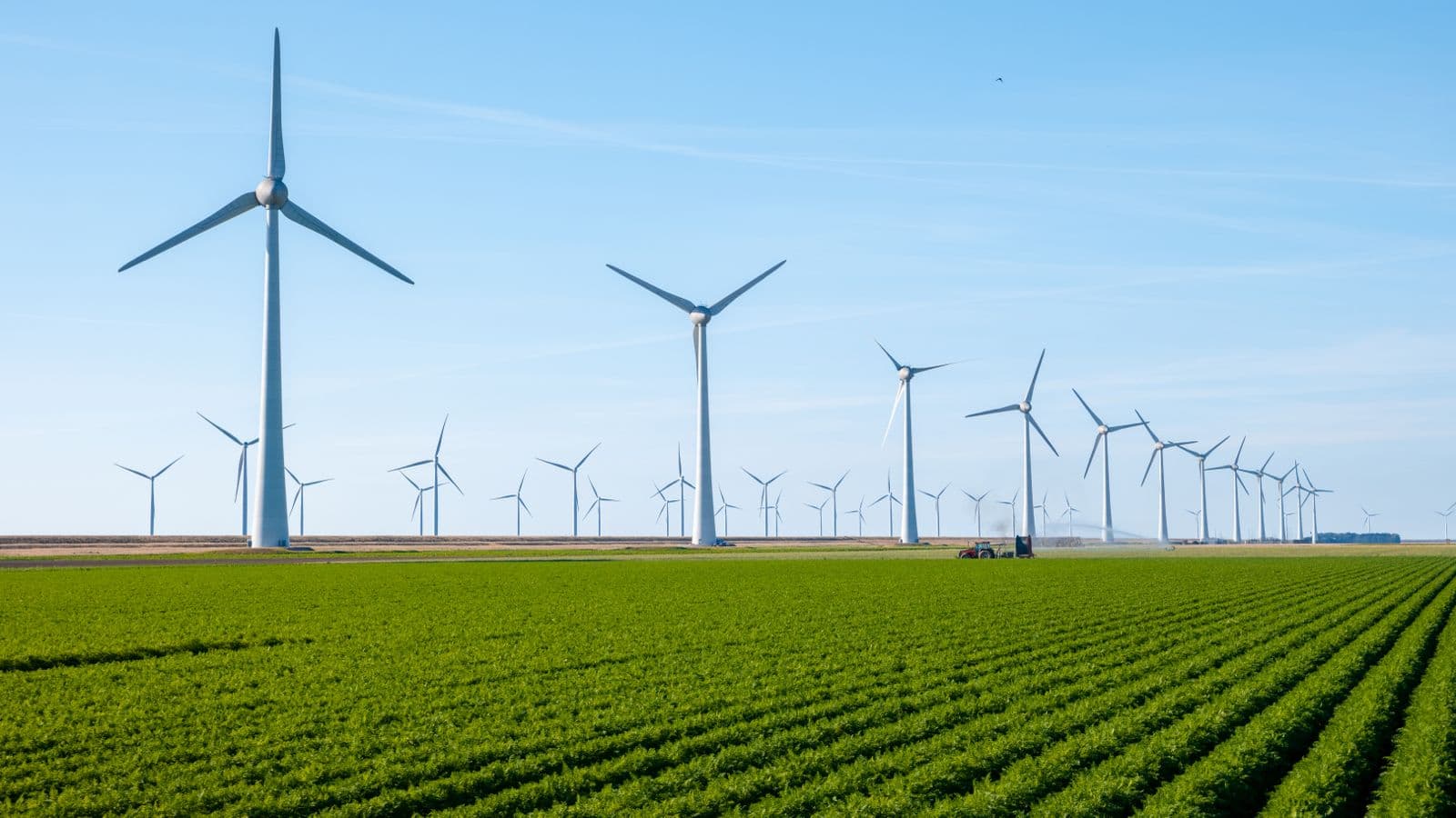 Discussion on gender and energy transition