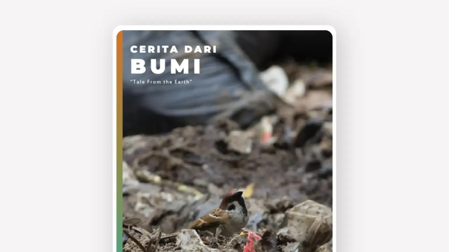 Cover: Cerita Dari Bumi